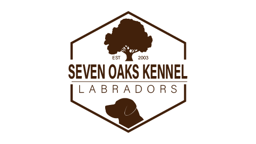 Seven shop oaks kennels